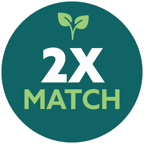 2x Match Icon