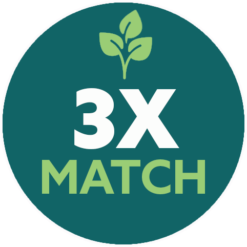 3x Match Icon