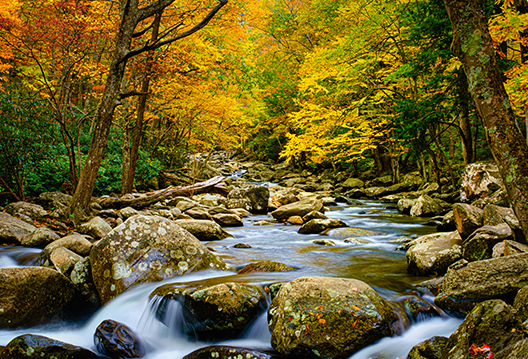 Great Smoky Mountains NP